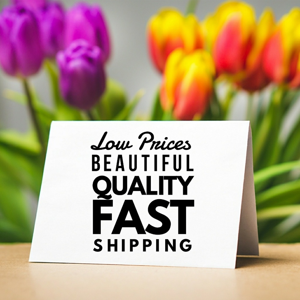Beautiful Quality at Low Prices